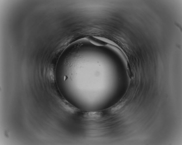 X0000096440622200801311430