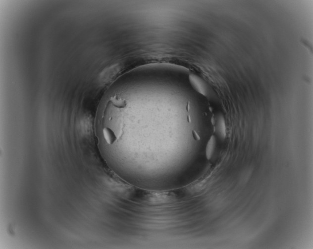 X0000096440623200801311430