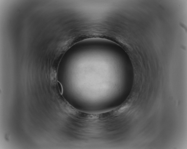 X0000096440624200801311430