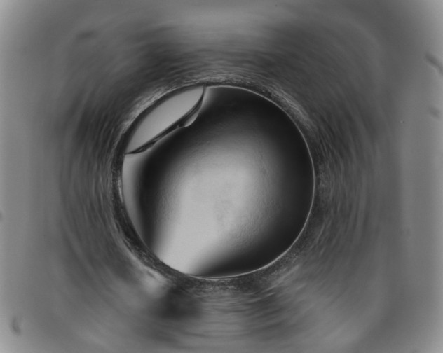 X0000096440626200801311429