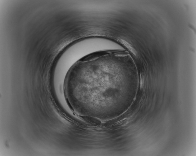 X0000096440627200801311429