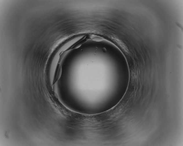 X0000096440628200801311429