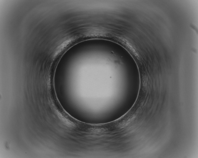 X0000096440629200801311429