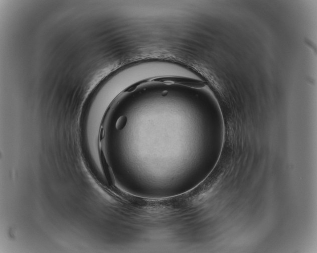 X0000096440630200801311429