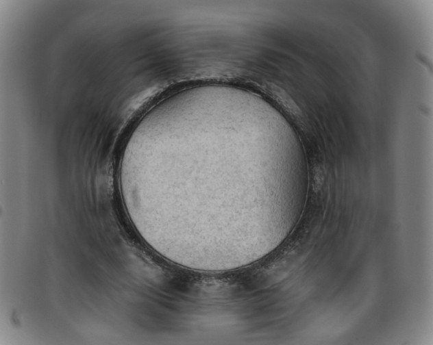 X0000096440632200801311429