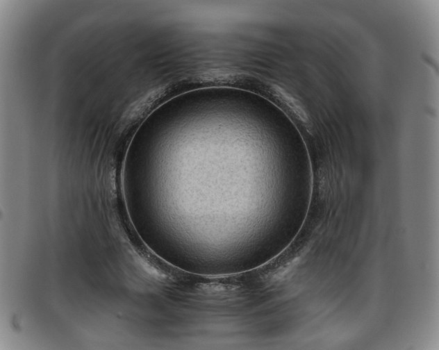 X0000096440633200801311429