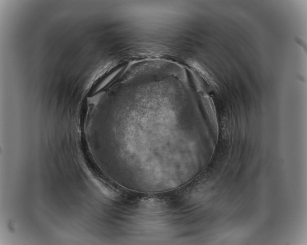 X0000096440634200801311429