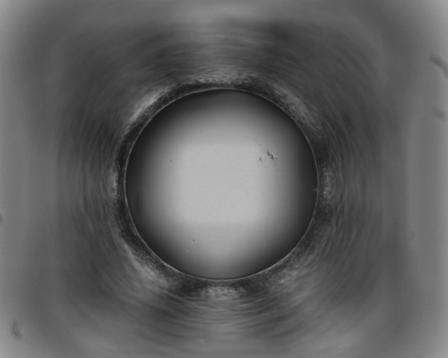 X0000096440636200801311429