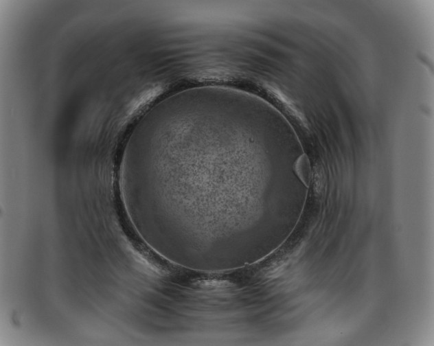 X0000096440637200801311429