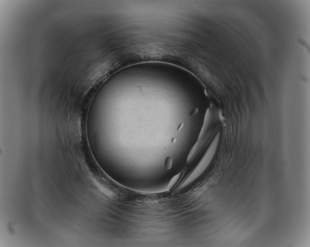 X0000096440638200801311429