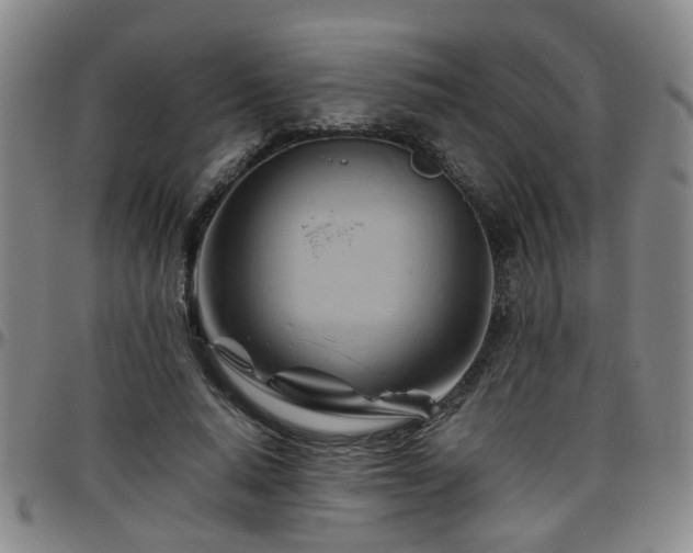 X0000096440640200801311429