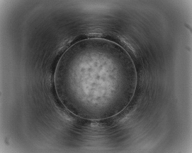 X0000096440641200801311429