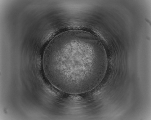 X0000096440642200801311429