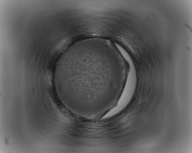 X0000096440643200801311429