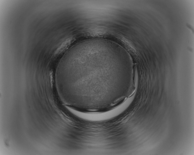 X0000096440644200801311429