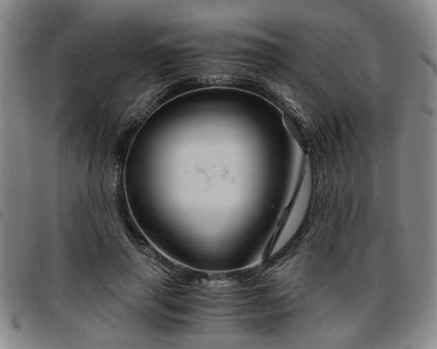 X0000096440645200801311429