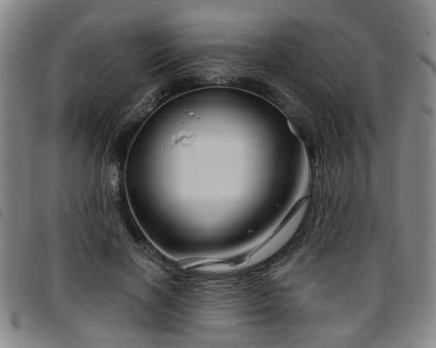 X0000096440646200801311429