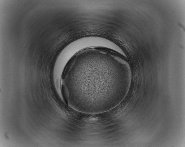 X0000096440647200801311429