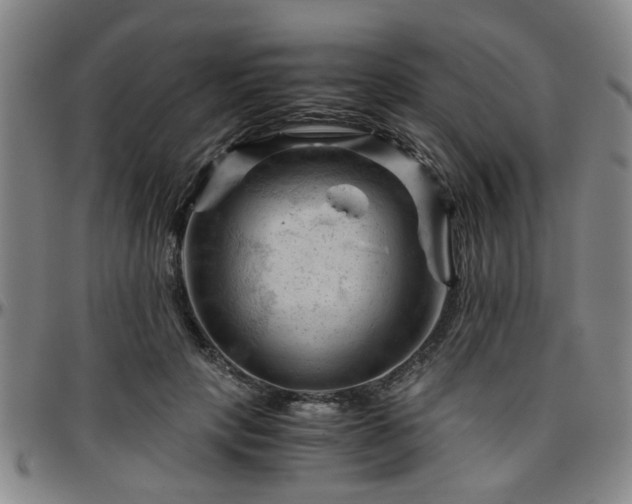 X0000096440649200801311430