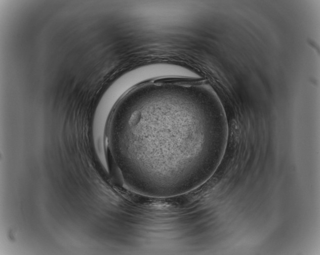 X0000096440650200801311430