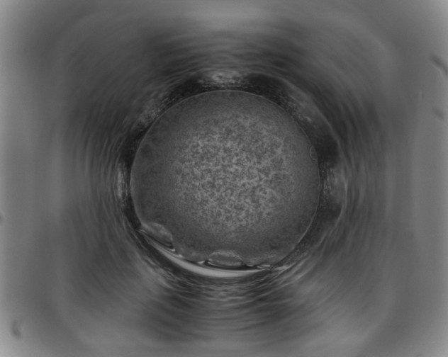 X0000096440651200801311430