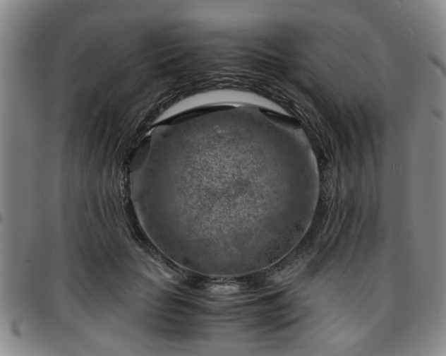 X0000096440653200801311430