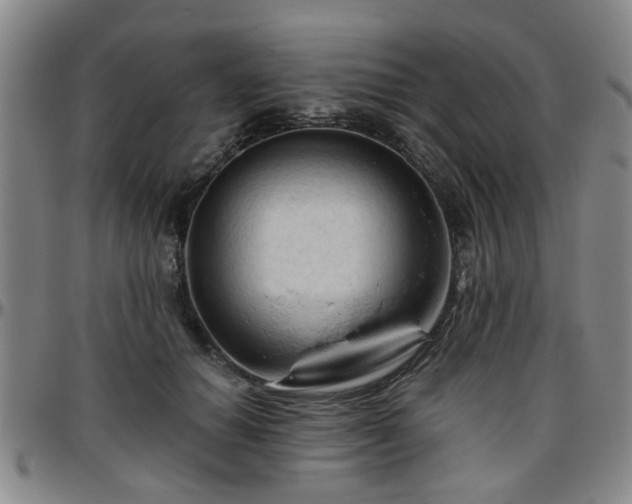 X0000096440654200801311430