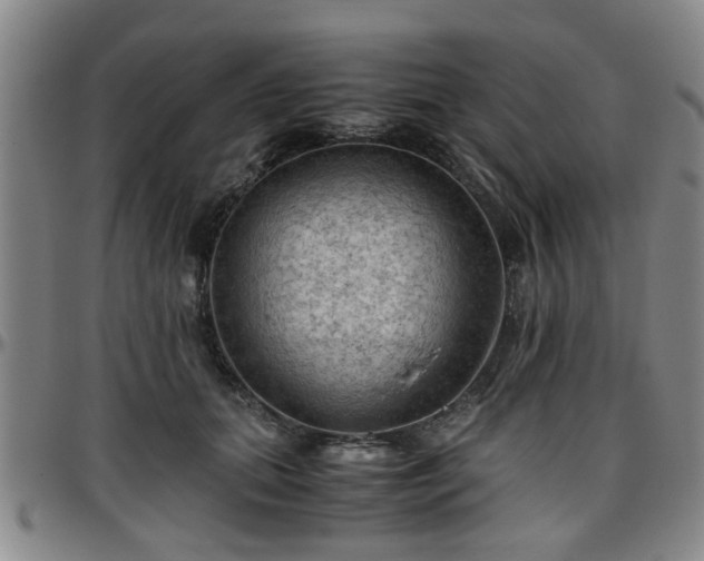 X0000096440655200801311430