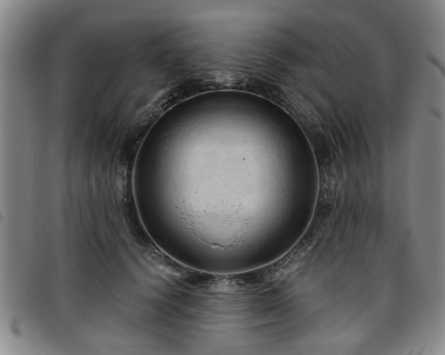 X0000096440656200801311430