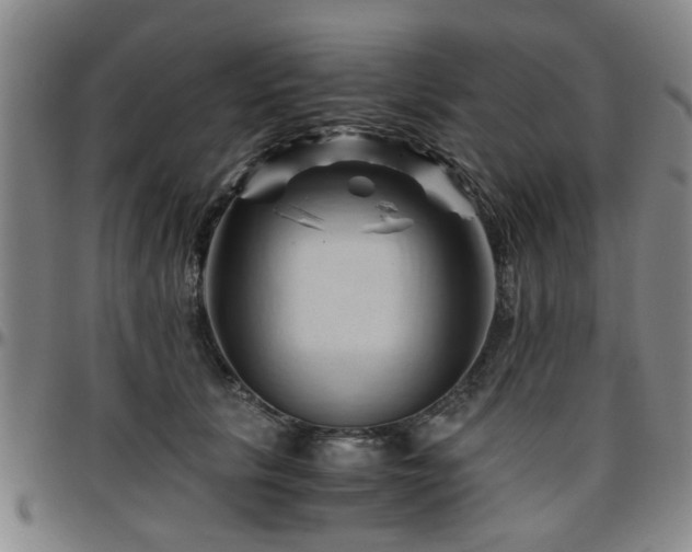 X0000096440657200801311430