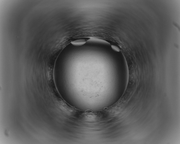 X0000096440658200801311430