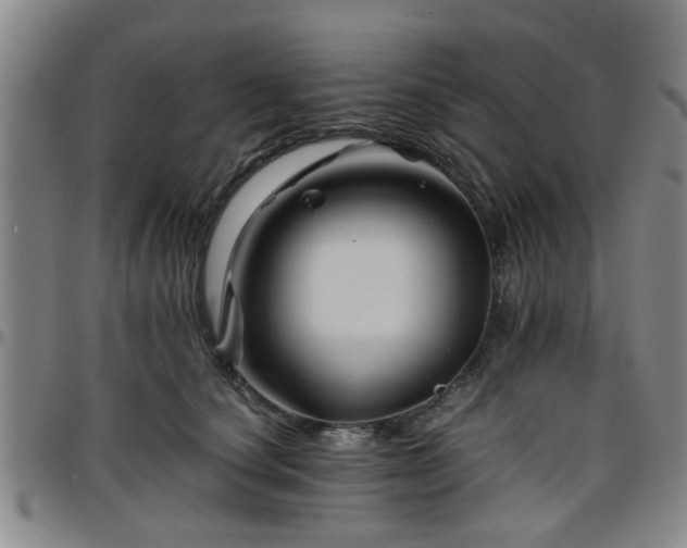 X0000096440660200801311430