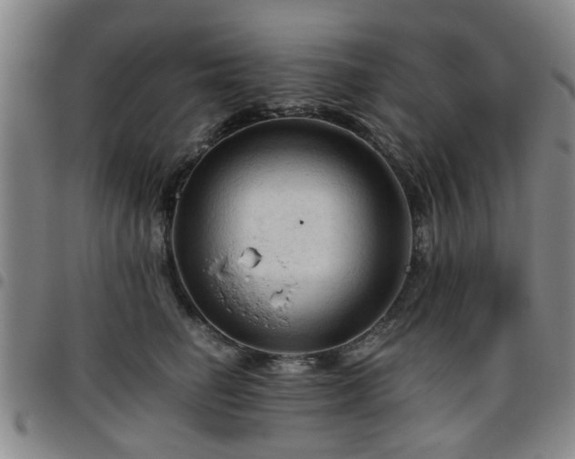 X0000096440662200801311430