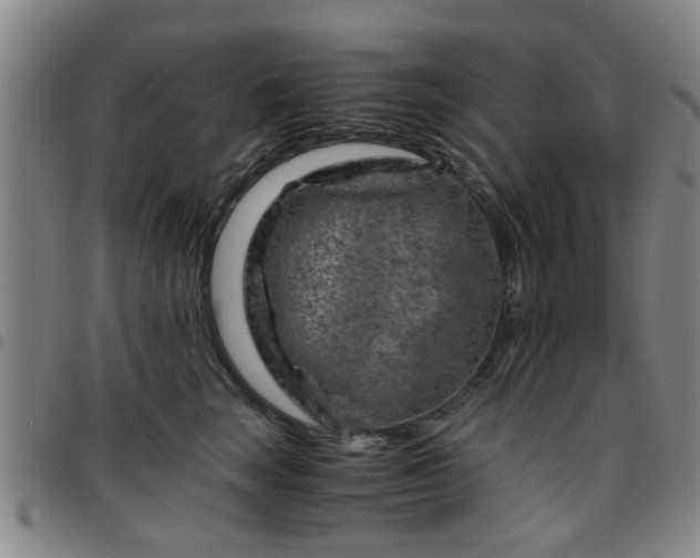 X0000096440663200801311430