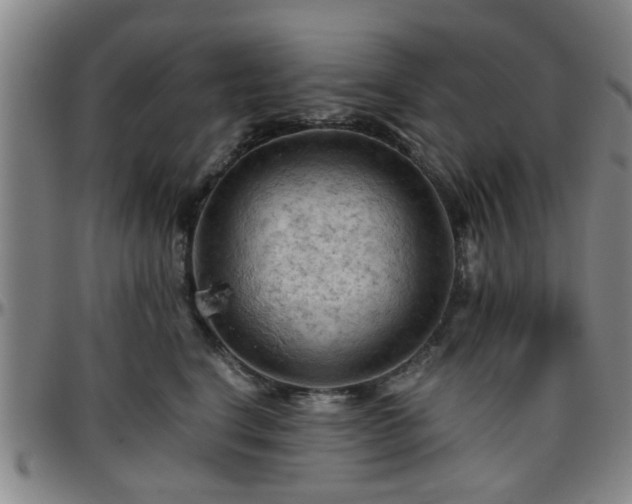 X0000096440664200801311430