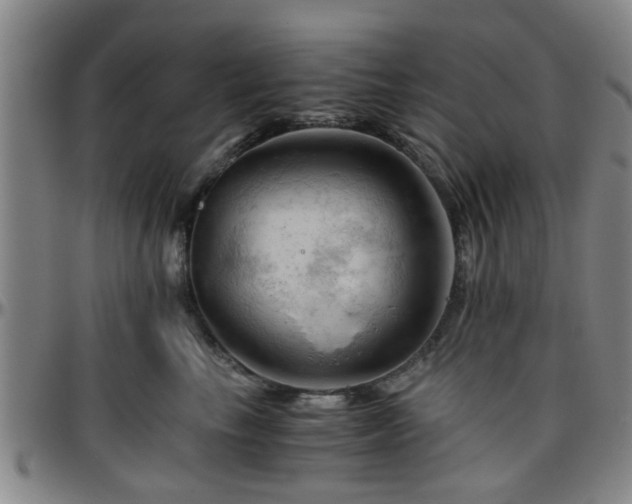 X0000096440665200801311430