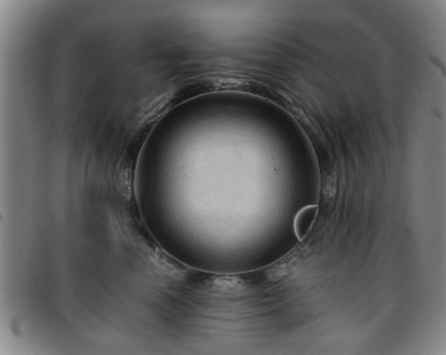 X0000096440666200801311430