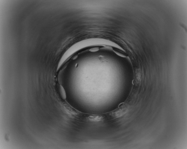 X0000096440667200801311430