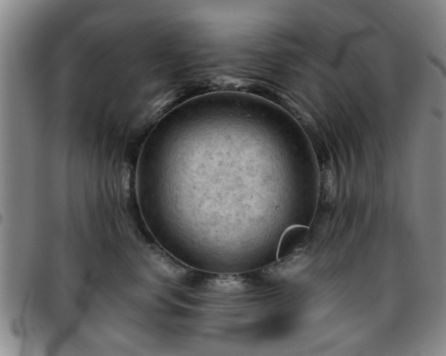 X0000096440668200801311430