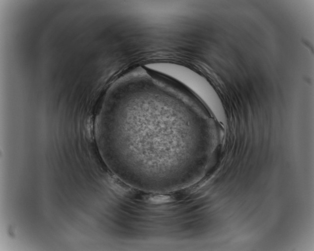 X0000096440669200801311430