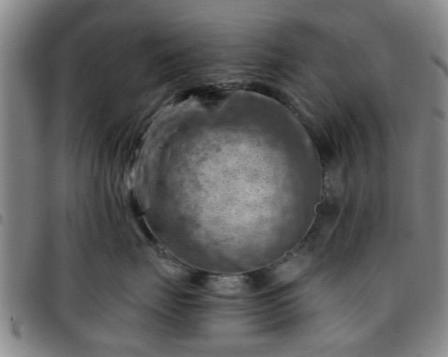 X0000096440671200801311430