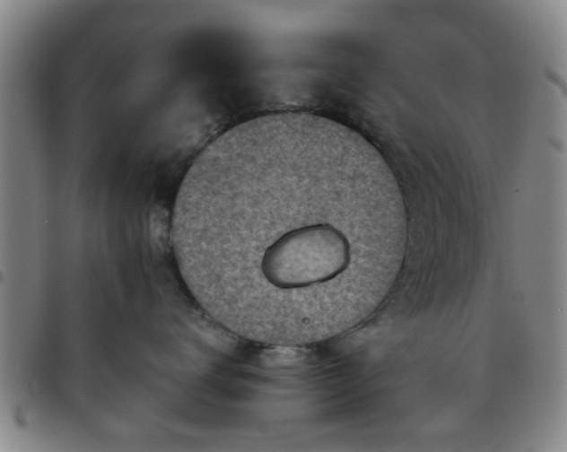 X0000096440672200801311430