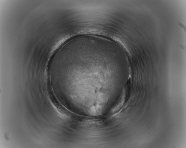 X0000096440674200801311429