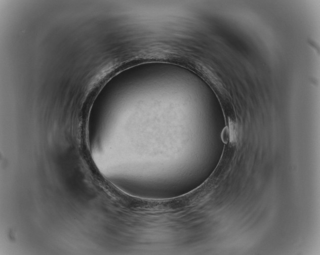 X0000096440675200801311429