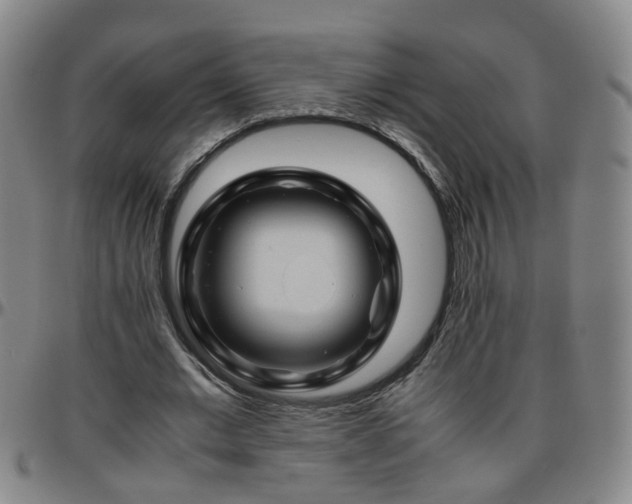 X0000096440677200801311429