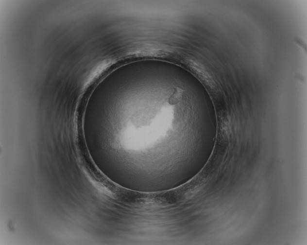 X0000096440678200801311429