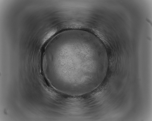 X0000096440679200801311429