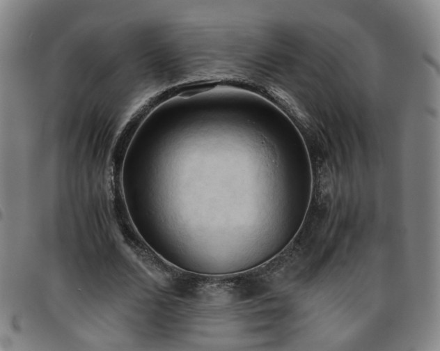 X0000096440680200801311429