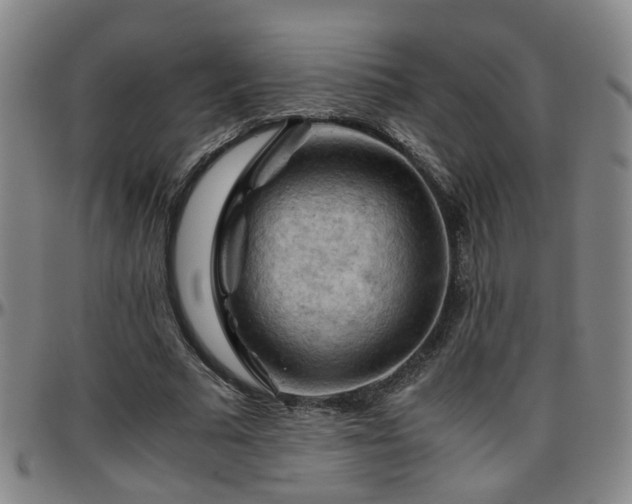 X0000096440681200801311429