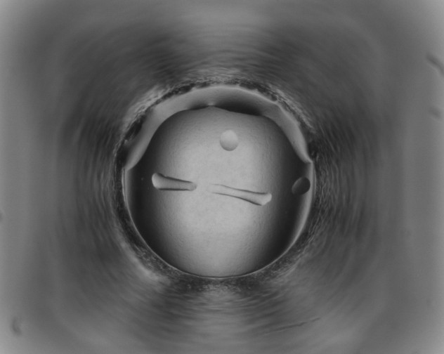 X0000096440682200801311429